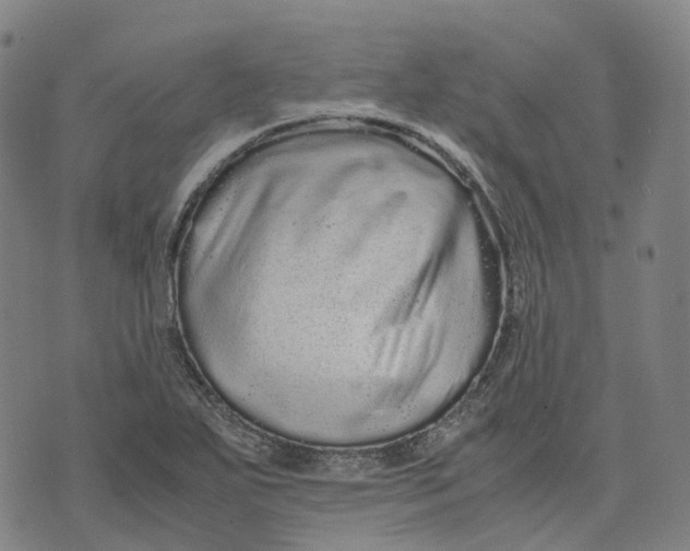 X0000071781271200607211548