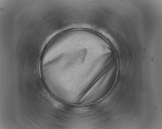 X0000071781272200607211548