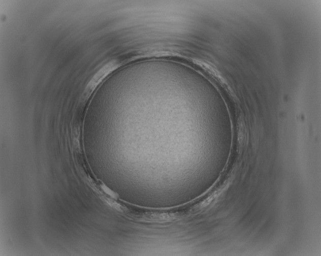 X0000071781273200607211548