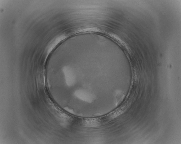 X0000071781274200607211548