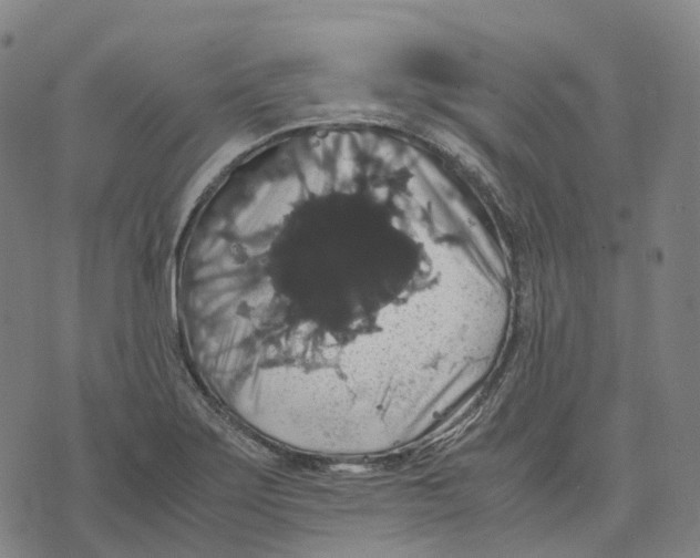 X0000071781275200607211548