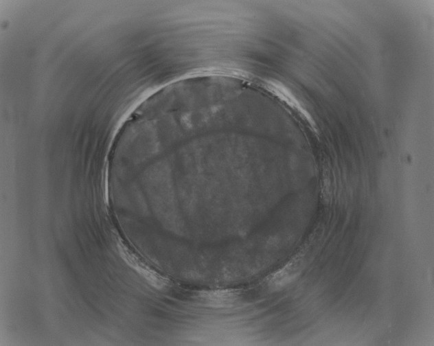 X0000071781276200607211548