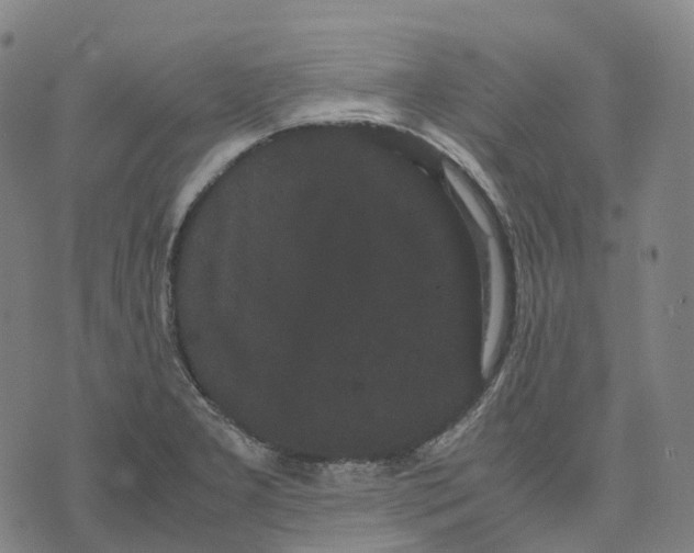 X0000071781277200607211548