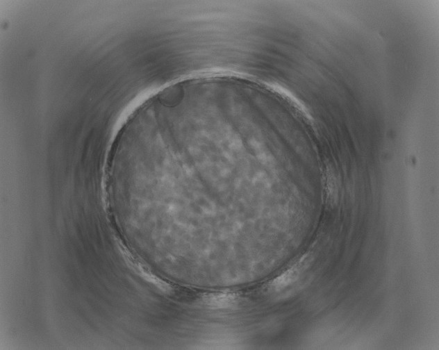 X0000071781278200607211548