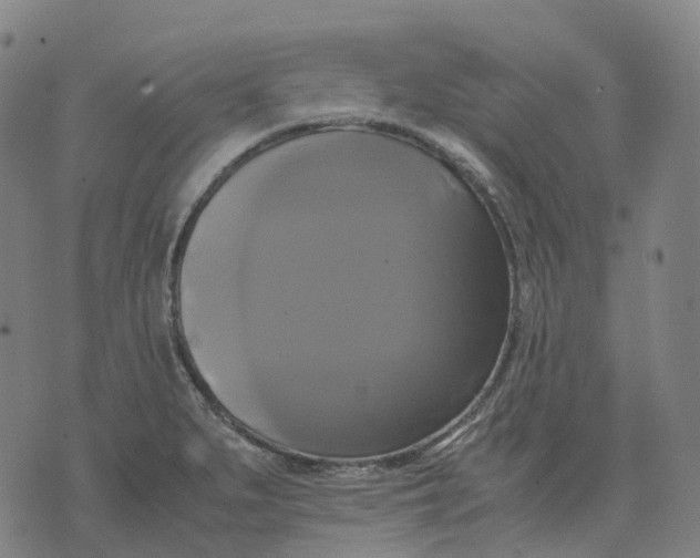 X0000071781279200607211548