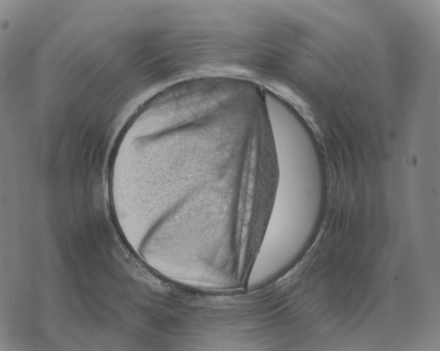 X0000071781280200607211548