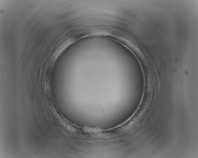 X0000071781281200607211548