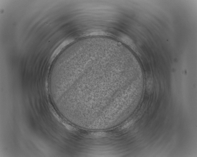 X0000071781282200607211548