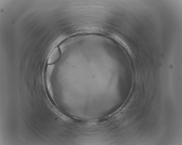 X0000071781283200607211548