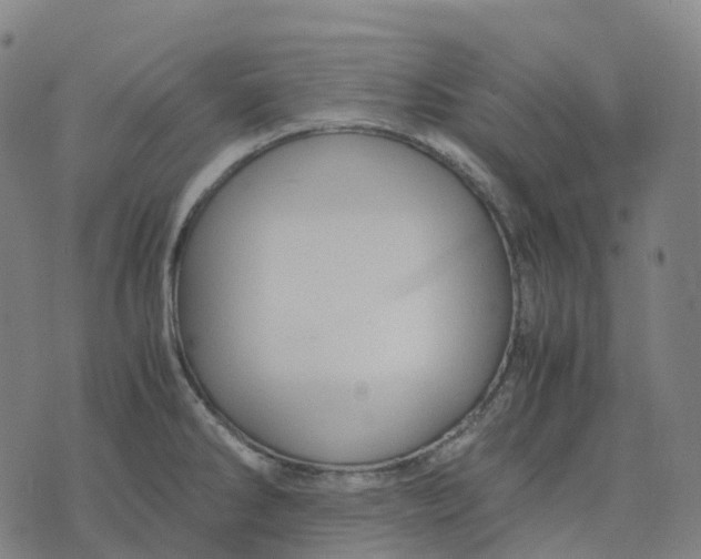 X0000071781286200607211547