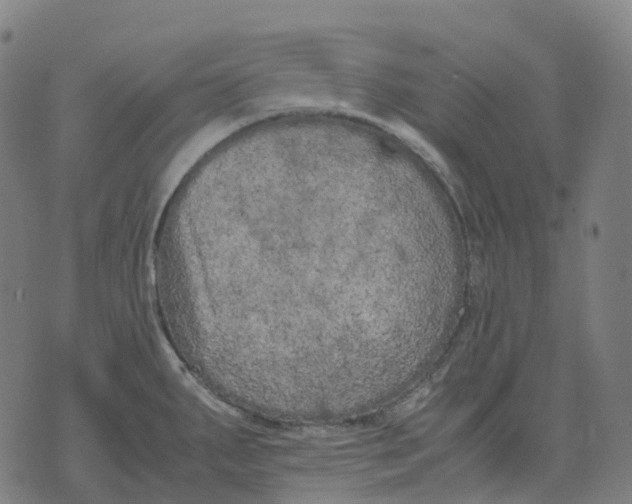 X0000071781287200607211547