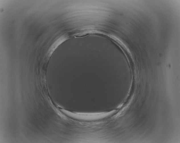 X0000071781289200607211547