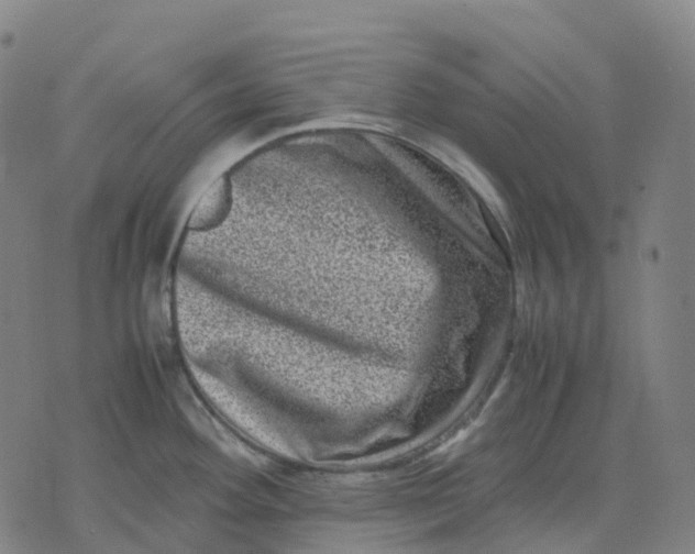 X0000071781292200607211547