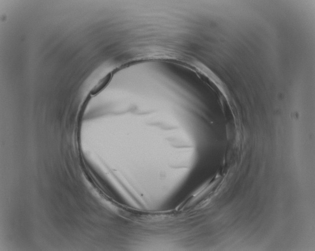 X0000071781293200607211547