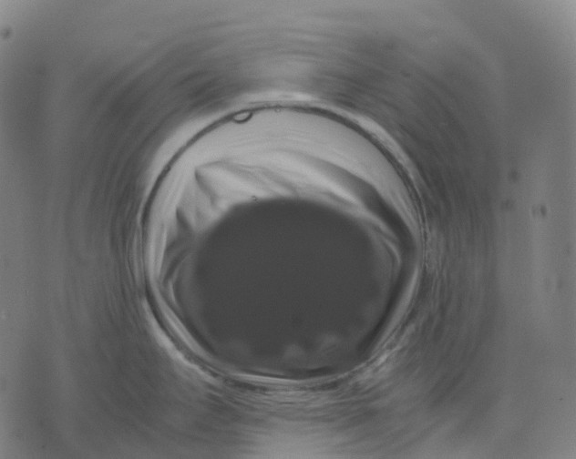 X0000071781295200607211547