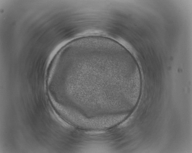 X0000071781296200607211547