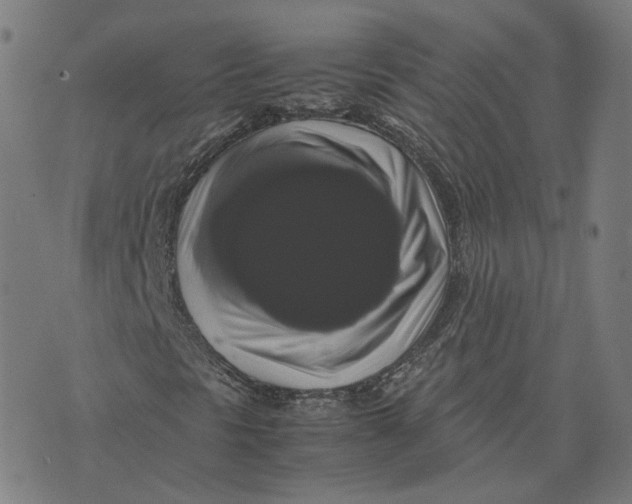 X0000071781297200607211547