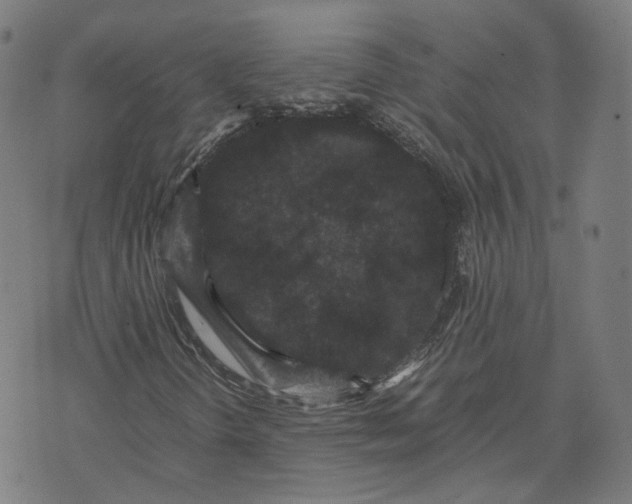 X0000071781298200607211547