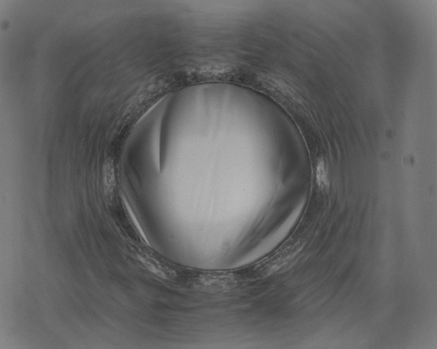 X0000071781299200607211547