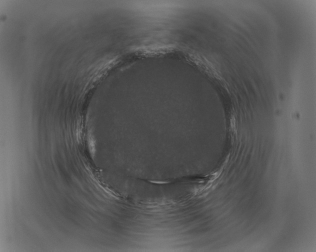 X0000071781300200607211547