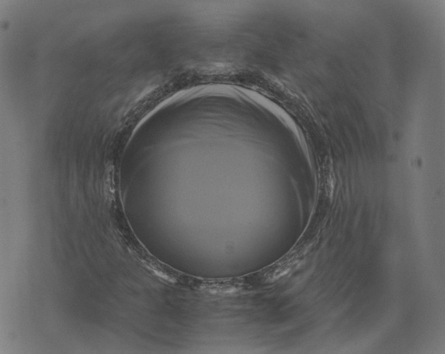 X0000071781301200607211547