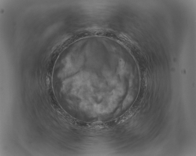 X0000071781302200607211547