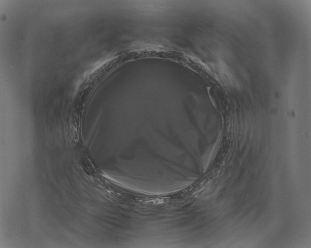 X0000071781303200607211547