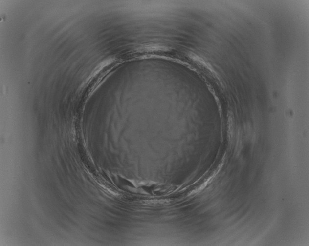 X0000071781305200607211547