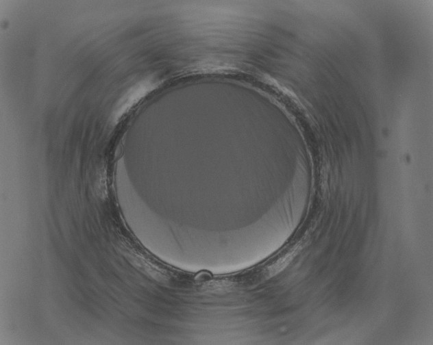 X0000071781306200607211547