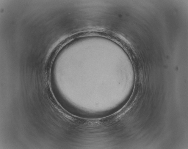 X0000071781310200607211547