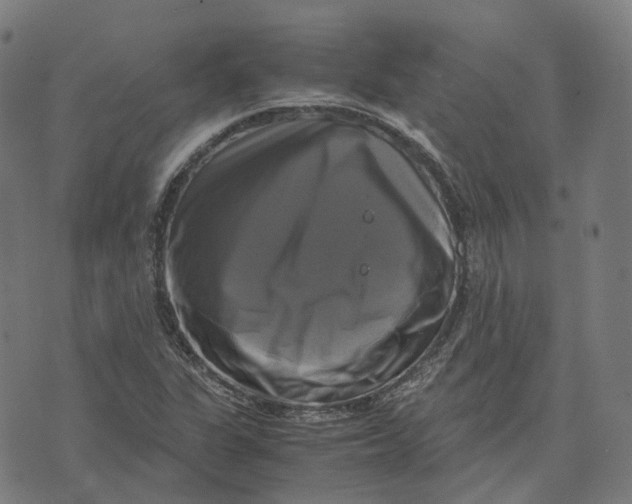 X0000071781311200607211547