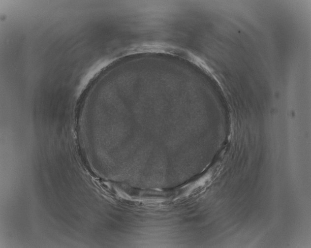 X0000071781312200607211547