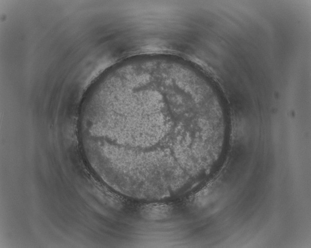 X0000071781314200607211547