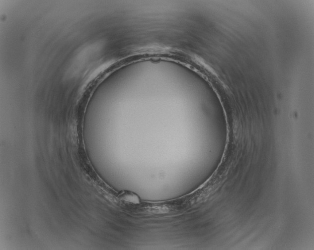 X0000071781315200607211547