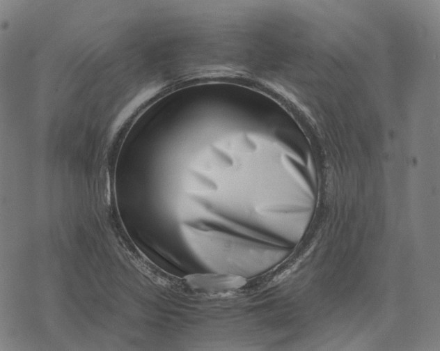 X0000071781317200607211547