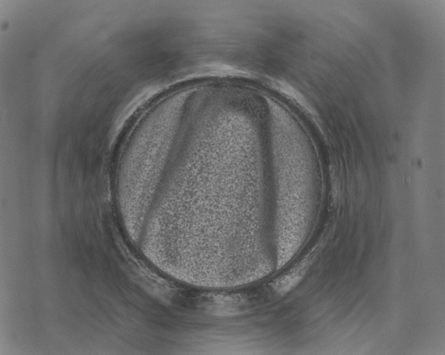 X0000071781318200607211547