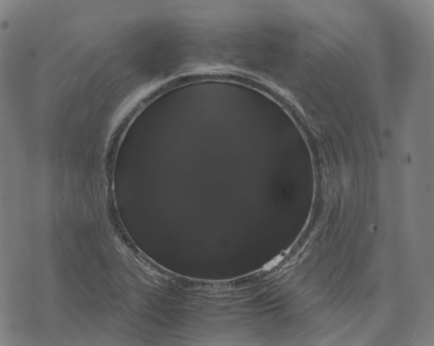 X0000071781319200607211547