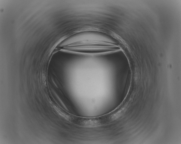 X0000071781321200607211547