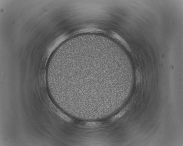 X0000071781322200607211547