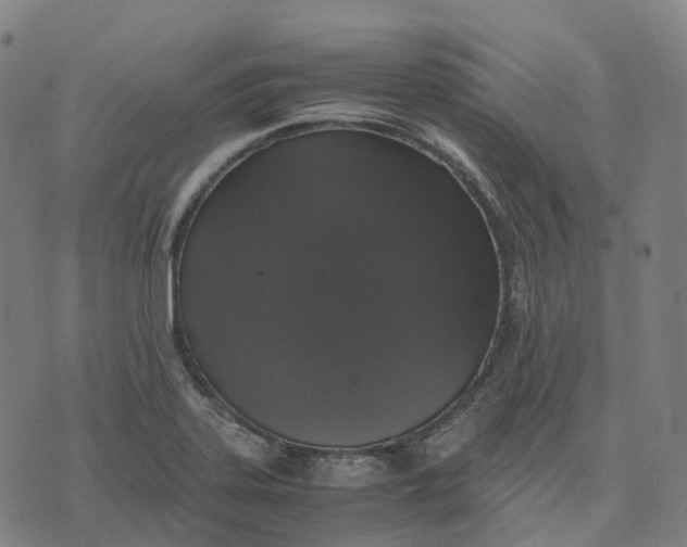 X0000071781323200607211547