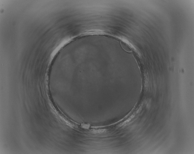 X0000071781325200607211547