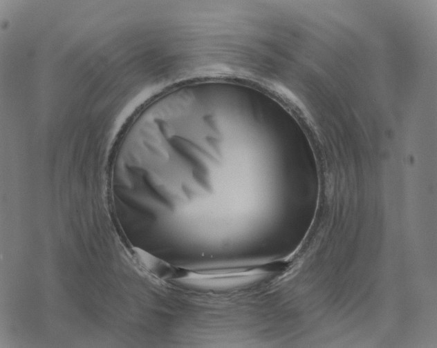 X0000071781326200607211547