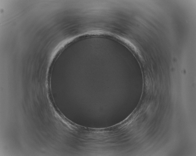 X0000071781327200607211547