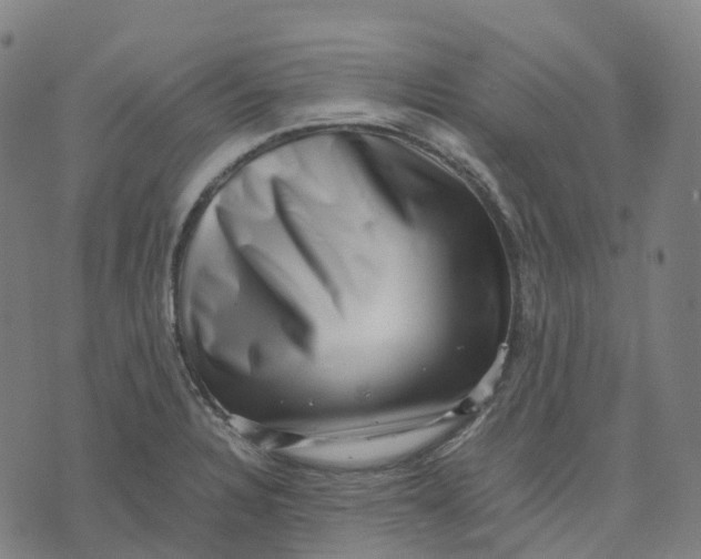 X0000071781328200607211547