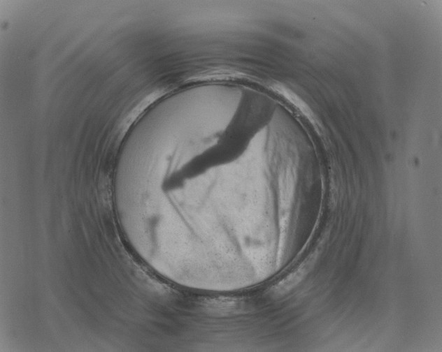 X0000071781329200607211547