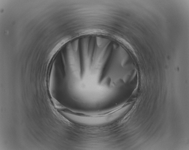 X0000071781330200607211547