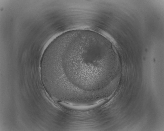 X0000071781332200607211547