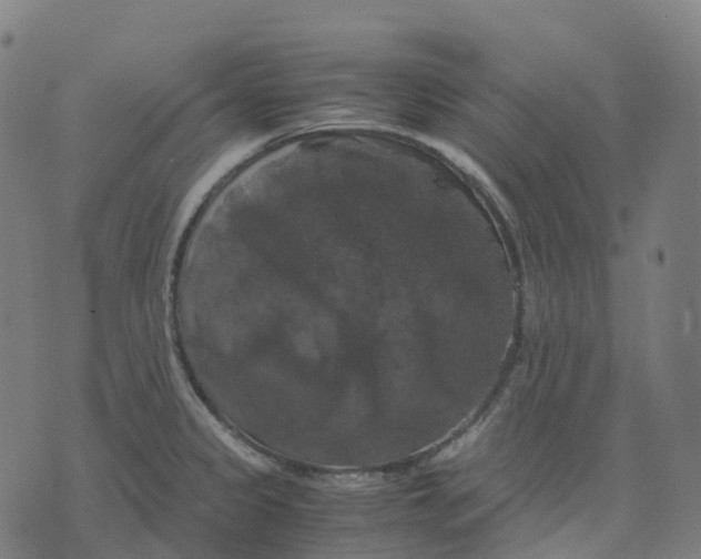 X0000071781333200607211547