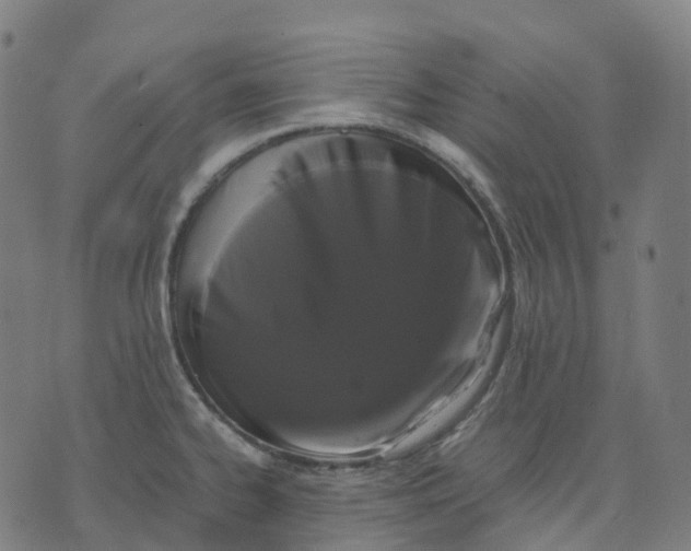 X0000071781334200607211547