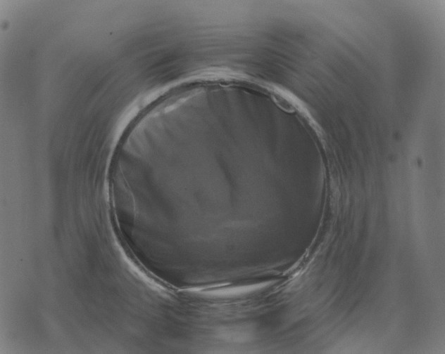 X0000071781335200607211547